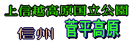 �M�B�@���������X�L�[��